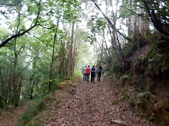 DSCN0492 DSCN0492