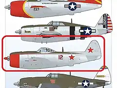 P47Inst_Cvr