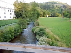 DSCN9295 DSCN9295