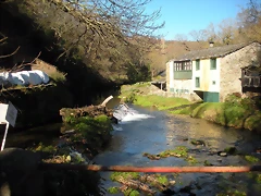 DSCN2337 DSCN2337