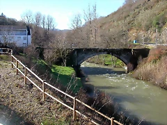 DSCN7731 DSCN7731