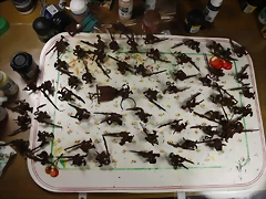 _MG_9566 _MG_9566