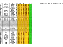 9 rallye mundial roco jpg redimensionada