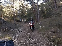 49
