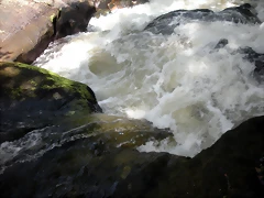 DSCN2787 DSCN2787