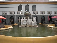 CIMG1888 CIMG1888