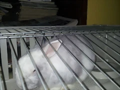 1-8-2012 (4) 1-8-2012 (4)