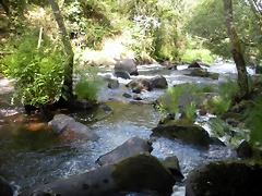DSCN2801 DSCN2801
