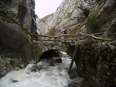P2280360 P2280360