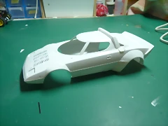 P1100593 P1100593