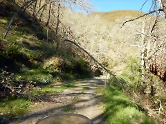 DSCN0093 DSCN0093