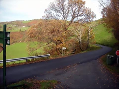 DSCN0498 DSCN0498