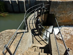DSCN8116 DSCN8116