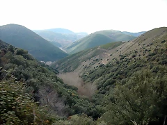 DSCN9494 DSCN9494