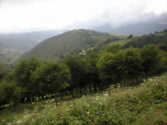 DSCN4800 DSCN4800