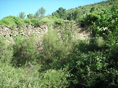 PICT0194