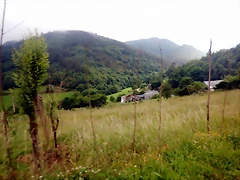DSCN7500 DSCN7500