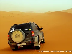 Copia de Copia de FOTO GANADORA copia