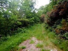 DSCN7497 DSCN7497