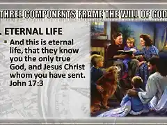 will-of-god-is-eternal-life