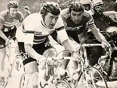 1977-MAERTENS-MERCKX