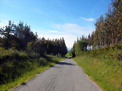 DSCN2395 DSCN2395