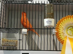 IMG_20170122_123623 IMG_20170122_123623