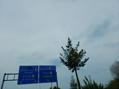 DSCN0275 DSCN0275