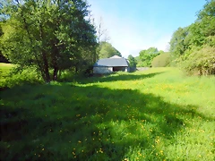 DSCN2469