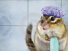 funny-chipmunk-bathing-26492473