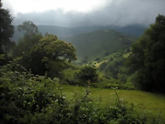 DSCN4806 DSCN4806