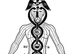 kundalini_caduceo