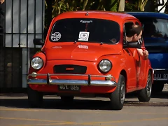 P1190110 P1190110