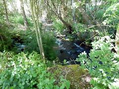 DSCN2362 DSCN2362
