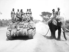 4-A Sherman tank of the 9th Royal Deccan Horse encounters a newly liberated elephant on the road to Meiktila in Burma, 29 March 1945. Pinterest