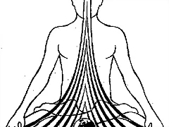 chakra1