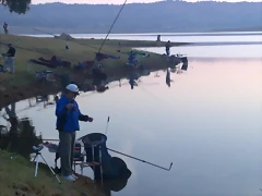 16102011084 16102011084