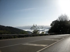 DSCN9950 DSCN9950