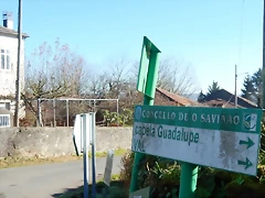DSCN1084 DSCN1084