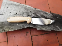DSCF1354 DSCF1354