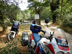 DSCN6524
