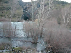 DSCN8126 DSCN8126