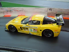 DSCN1616 DSCN1616