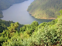 47-IMG_2388