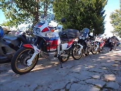 X9190064 X9190064