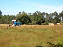 DSCN9574 DSCN9574