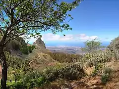 Las_Palmas_de_Gran_Canaria_y_Telde_desde_la_Caldera_de_Los_Marteles_Islas_Canarias__Gran_Canaria_panoramio_flickr