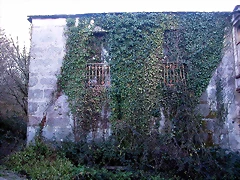 DSCN7193 DSCN7193