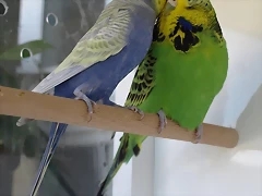 P9070053 P9070053