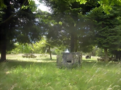 DSCN5355 DSCN5355